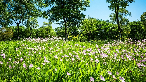 La crémation : un choix empreint de sens et de respect